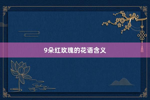 9朵红玫瑰的花语含义